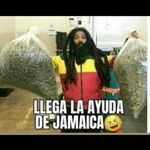 Ivan Toribio - @toribio773 - Instagram