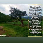 Ivan Toribio - @ivantoribio38 - Instagram