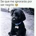 Iván Torres - Facebook