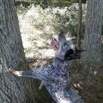 Ivan Troyer - @ivan.troyer.73 - Instagram