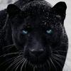 Ivan - @ivan.witt.en - TikTok
