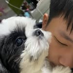 Ivan Wu - @ww_vanz - Instagram
