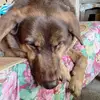 Ivan Wu - @ivan.wu64 - TikTok