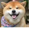 Ivan Wu - @ivanwu77 - TikTok