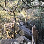 Ivan Wu - @hibaby1105 - Instagram