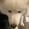 Ivan Wu - @ivanwu23 - TikTok
