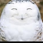 Ivan Yuen - @ivanyuen0720 - Instagram