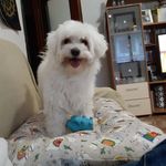 Ivan Zavaleta - @ulicesgavidia18 - Instagram