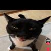 Pedro Ivan Zavaleta-Gomez - @pedro.ivan.zavale - TikTok