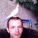 Иван - @ivan_zic - Instagram