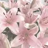 Ivana Herrera - @ivana.herrera898 - TikTok