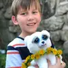 Iver_Johnson - @iver_johnson - TikTok