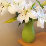 Iver Johnson - @ivercjohns - Instagram