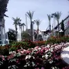 Ivet Cruz cruz - @ivet.cruz.cruz2 - TikTok