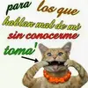 ivette.galarza - @ivette.galarza - TikTok