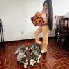 Ivette Luna - @ivetteluna06 - TikTok