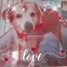Ivette Valentin - Facebook