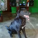 Ivis Ramos - @ivis.ramos.1042 - Instagram