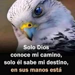 Ivis Ramos - @ivis.ramos.9634 - Instagram
