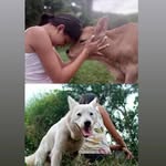 Ivonne Sequeira - @ivonne.sequeira - Instagram