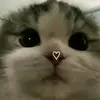 ivon leon - @ivonloen.1 - TikTok