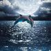 Ivone Martinez - Facebook