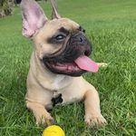Ivonne Escobar - @garciaivonne0723 - Instagram