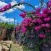 Ivonne Muñoz - Facebook