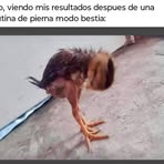 Ivonne Robles - Facebook