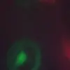 ivor Gordon - @ivor.gordon - TikTok
