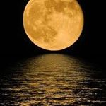 Ivor Thomas - @theragingmoon - Instagram