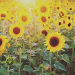 Ivory Bennett - @happy_fooood143 - Instagram