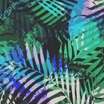 🐢 - @exclusive_ivory_cloud - Instagram