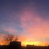 yvonnekelleners - @ivorycloud - TikTok