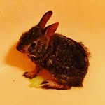 ivorydurham - @ivorydurham70 - Instagram