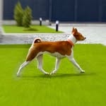 Ivory Rose Kennel - @layla_ivory_rose - Instagram