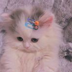 Ivory Lee - Facebook