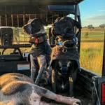 Luke Sant - @luke_ivoryandantler - Instagram