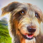 That thing with the dog from the slaps - @luke.s.ivory - Instagram