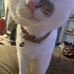 Ivory Nelson - Facebook