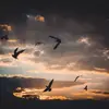 ivorynelson66 - @ivorynelson66 - TikTok