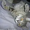 ivoryroberts2 - @ivoryroberts2 - TikTok