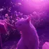 Ivory - @ivorywright04 - TikTok