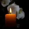 ivybarrera123 - @ivybarrera123 - TikTok