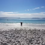 Ivy Beachside Cottage - @ivybeachsidecottage - Instagram
