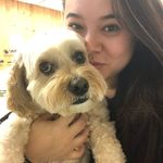 Ivy Bennett - @ivythedoggroomer - Instagram