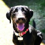 Ivy Boswell - @bamamom4x - Instagram