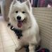 Ivy Chang - Facebook
