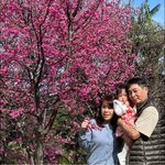 張雅惠 - @ivychang__ - Instagram