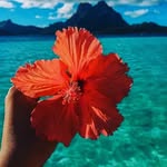 🧡ivy💛 - @ivy_davila_ - Instagram